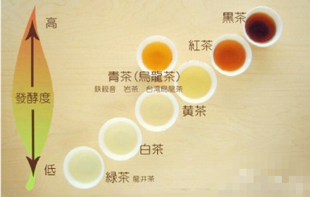 安吉白茶 白茶 白毫银针 白牡丹 安吉白茶与白茶的区别