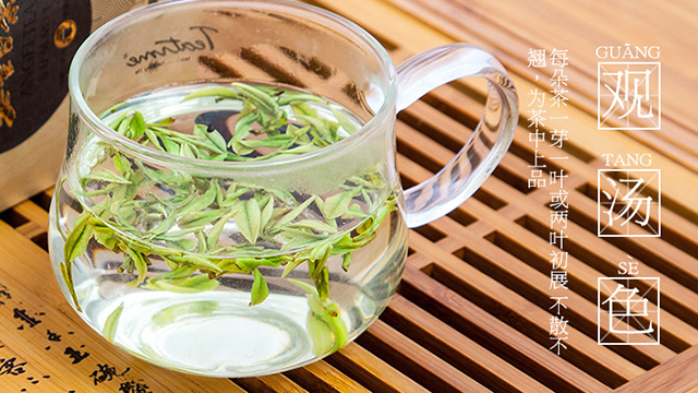 安吉白茶冲泡 安吉白茶茶艺 安吉白茶茶艺表演 安吉白茶的保存方法