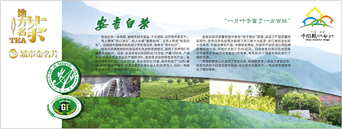 安吉白茶金名片