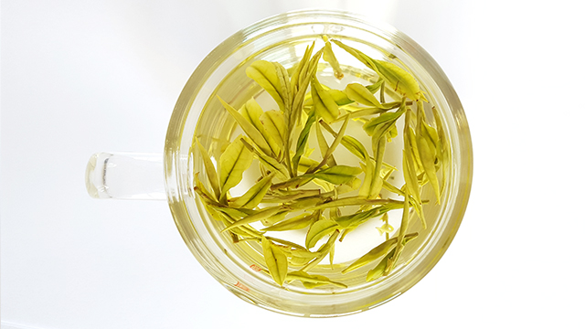安吉白茶图片茗来福安吉白茶
